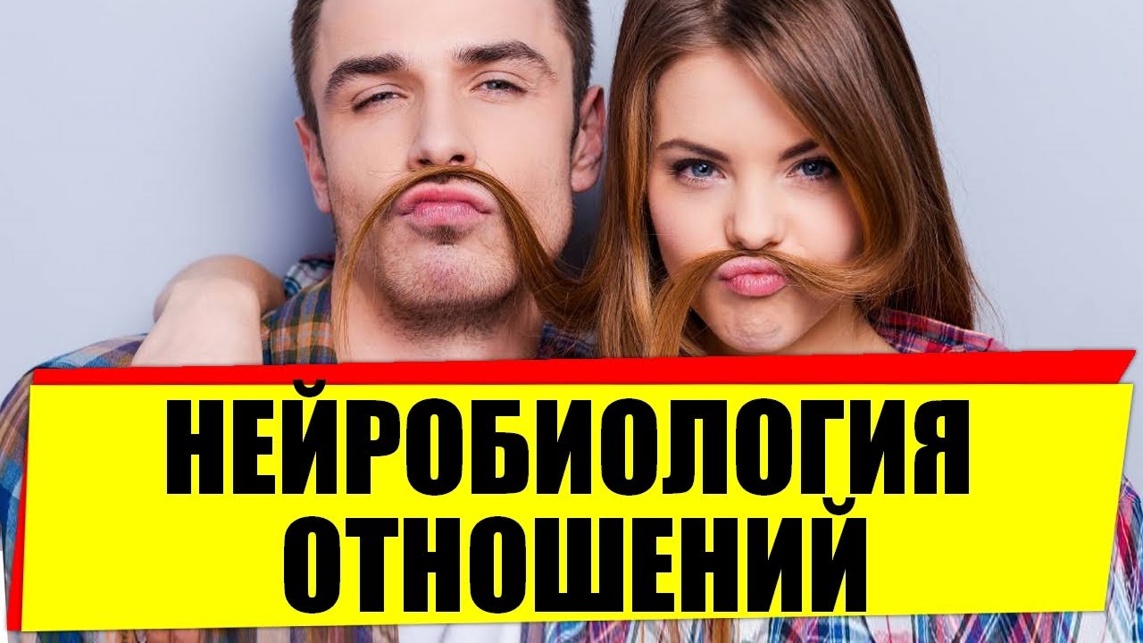 Нейробиология отношений